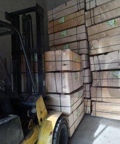 پلای وود روسی سوزا